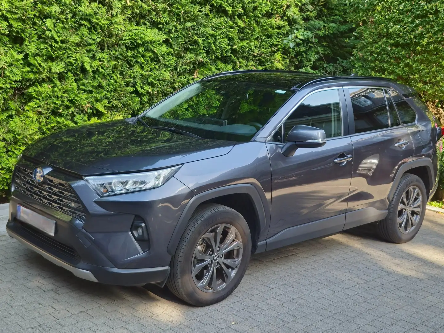 Toyota RAV 4 RAV 4 Hybrid Dynamic Plus +Keyless Access+BSM+RCTA Gris - 2