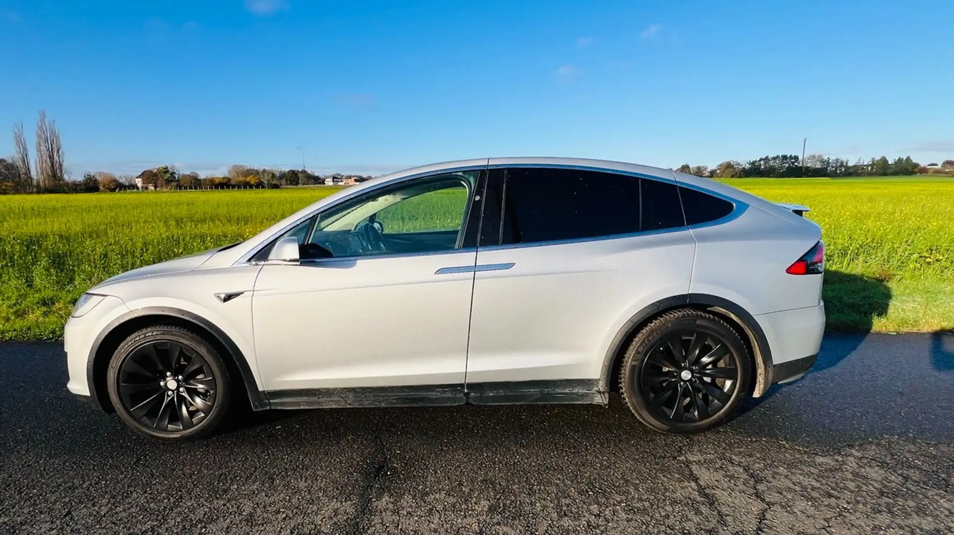 Tesla Model X Model X 90D Ezüst - 1