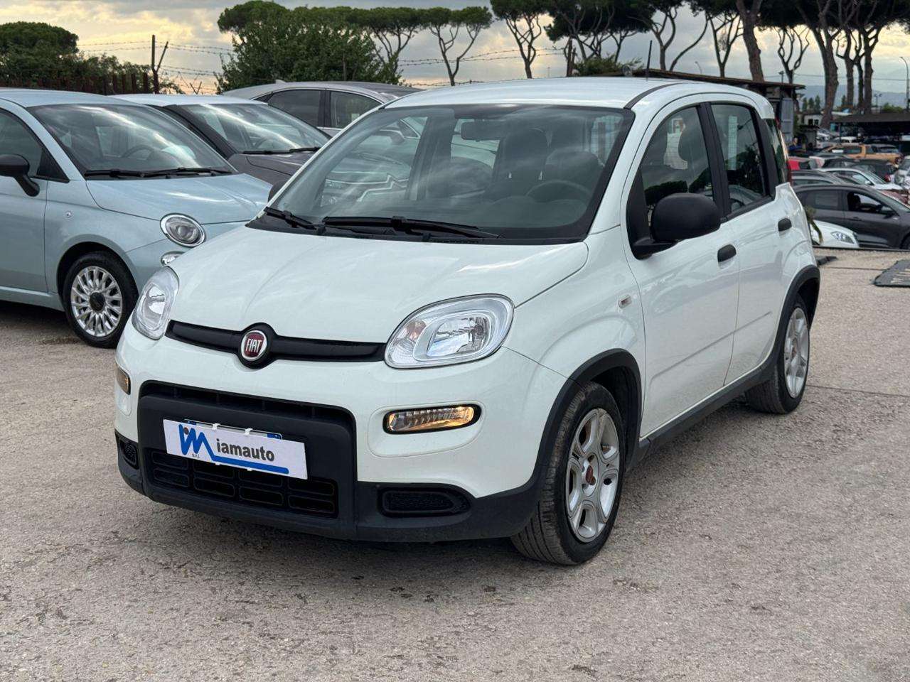 Fiat Panda Hybrid Citylife 1.0cc 70cv
