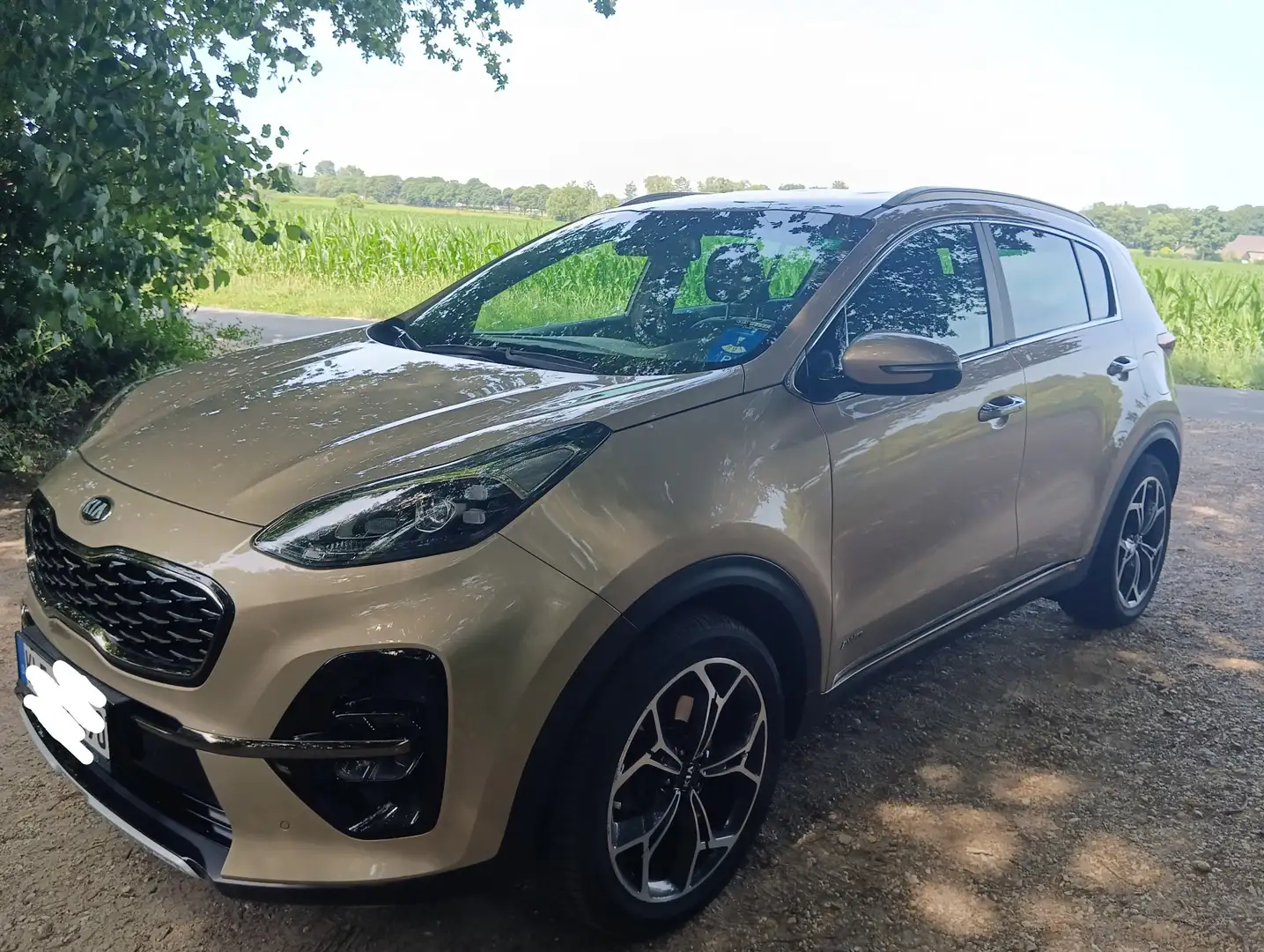 Kia Sportage 1.6 T-GDI AWD GT LINE Oro - 2