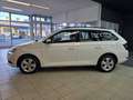 Skoda Fabia Combi 1,0 TSI*LED Tagfahrlicht*KLIMA*ZV* Weiß - thumbnail 2