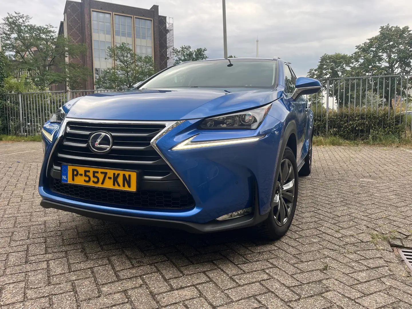 Lexus NX 300h NX 300h AWD Luxury Line Blau - 1