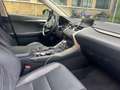 Lexus NX 300h NX 300h AWD Luxury Line Blau - thumbnail 15