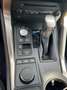 Lexus NX 300h NX 300h AWD Luxury Line Blau - thumbnail 24