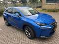 Lexus NX 300h NX 300h AWD Luxury Line Blau - thumbnail 13