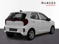 Kia Picanto 1.0 DPi Concept Blanco - thumbnail 3