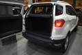 Ford EcoSport 1.5 Benzina 110cv Automatica Plus ITALIANA Weiß - thumbnail 17