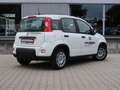 Fiat Panda Pandina 1,0 GSE Klimaanlage PDC M+S Weiß - thumbnail 4