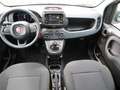 Fiat Panda Pandina 1,0 GSE Klimaanlage PDC M+S Weiß - thumbnail 23