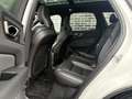 Volvo XC60 2.0 T6 Plug-in hybrid AWD R-Design | Panoramadak | Weiß - thumbnail 14