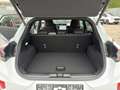 Ford Puma 1,0 EcoBoost Hybrid ST-Line Weiß - thumbnail 13