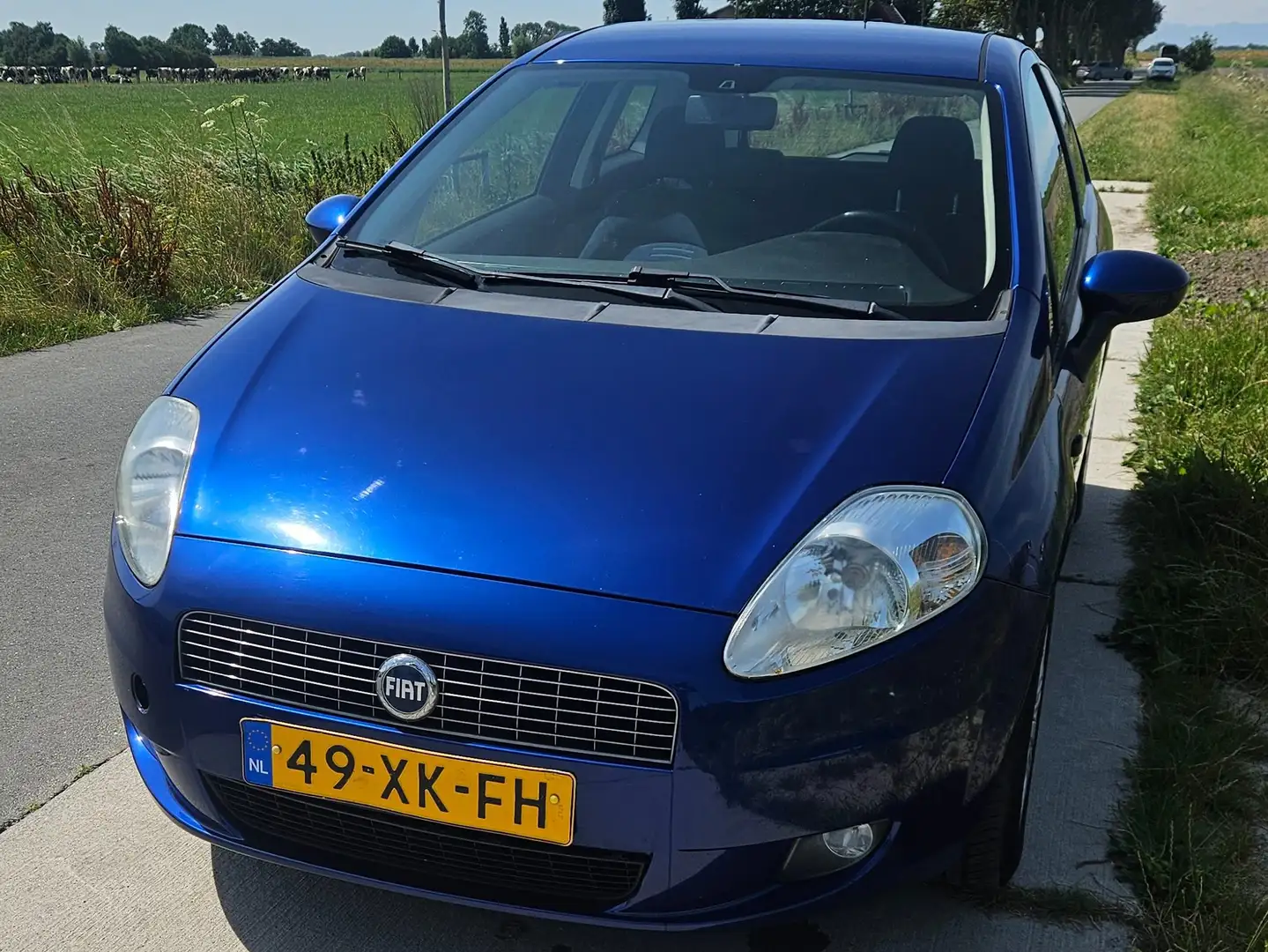 Fiat Punto Punto 1.4 Dynamic Azul - 1
