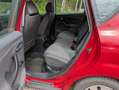 SEAT Altea Altea 1.6 Stylance Tüv 4/26 Rot - thumbnail 13