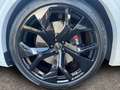 Audi RS Q8 4.0 TFSI qu. Tiptr. *AHK*Matrix-LED* Blanc - thumbnail 15