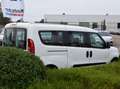 Fiat Doblo Doblo Cargo MAXI SX Blanc - thumbnail 8