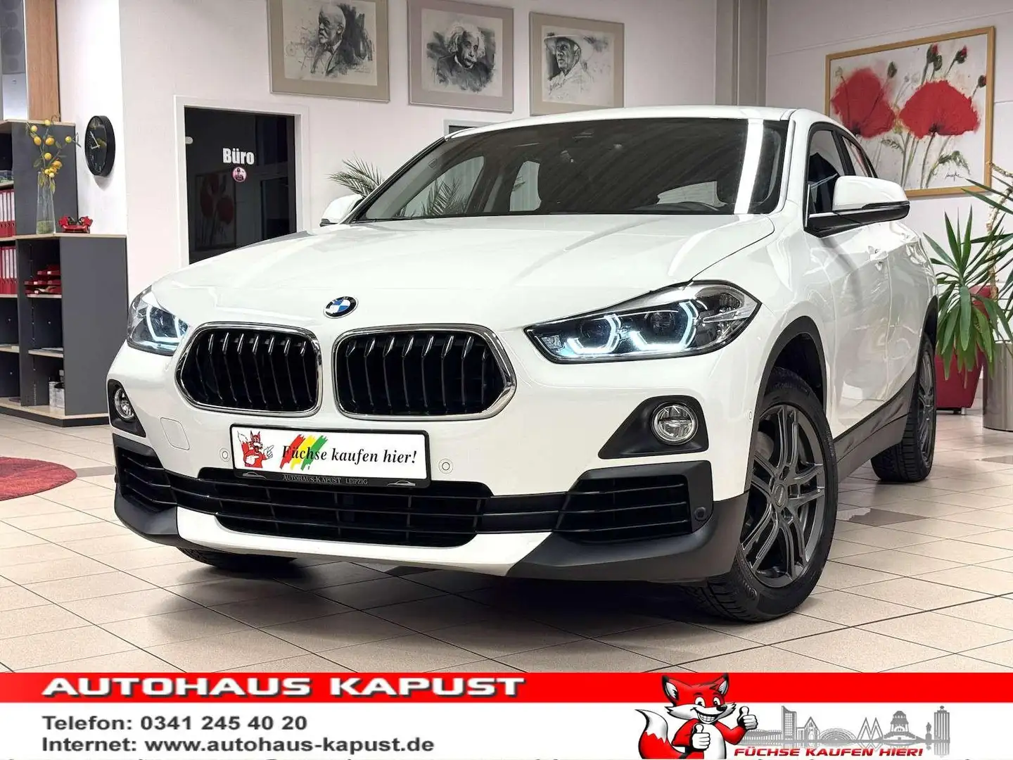 BMW X2 xDrive 20i /LED/Navi/Ahk/VZE/Park-Ass Blanc - 1