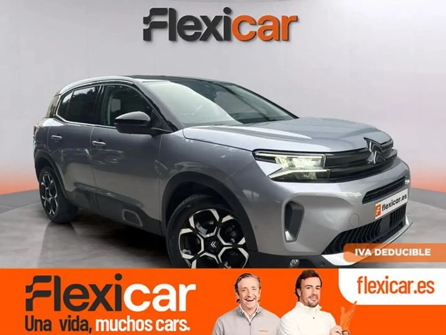 Citroen C5 Aircross BlueHDi S&S Max EAT8 130 Gris - 1
