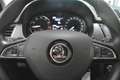 Skoda Fabia 1.0TSI Clever Klimaauto Sitzhz ACC PDC DAB Grau - thumbnail 24