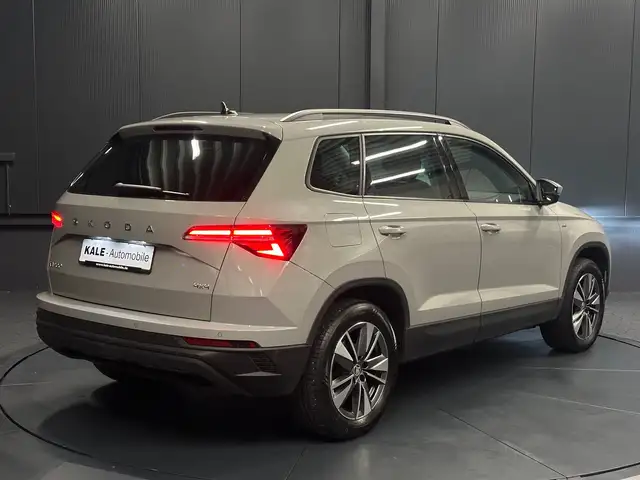 Skoda Karoq view 5