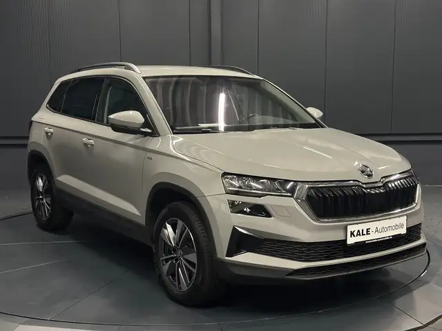 Skoda Karoq view 7