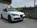 Alfa Romeo Stelvio Stelvio Tributo Italiano 2,0 280 AT8 Q4*Voll*NP86t Weiß - thumbnail 1