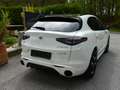 Alfa Romeo Stelvio Stelvio Tributo Italiano 2,0 280 AT8 Q4*Voll*NP86t Weiß - thumbnail 6