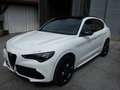 Alfa Romeo Stelvio Stelvio Tributo Italiano 2,0 280 AT8 Q4*Voll*NP86t Weiß - thumbnail 4