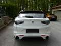 Alfa Romeo Stelvio Stelvio Tributo Italiano 2,0 280 AT8 Q4*Voll*NP86t Weiß - thumbnail 7