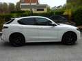 Alfa Romeo Stelvio Stelvio Tributo Italiano 2,0 280 AT8 Q4*Voll*NP86t Weiß - thumbnail 5