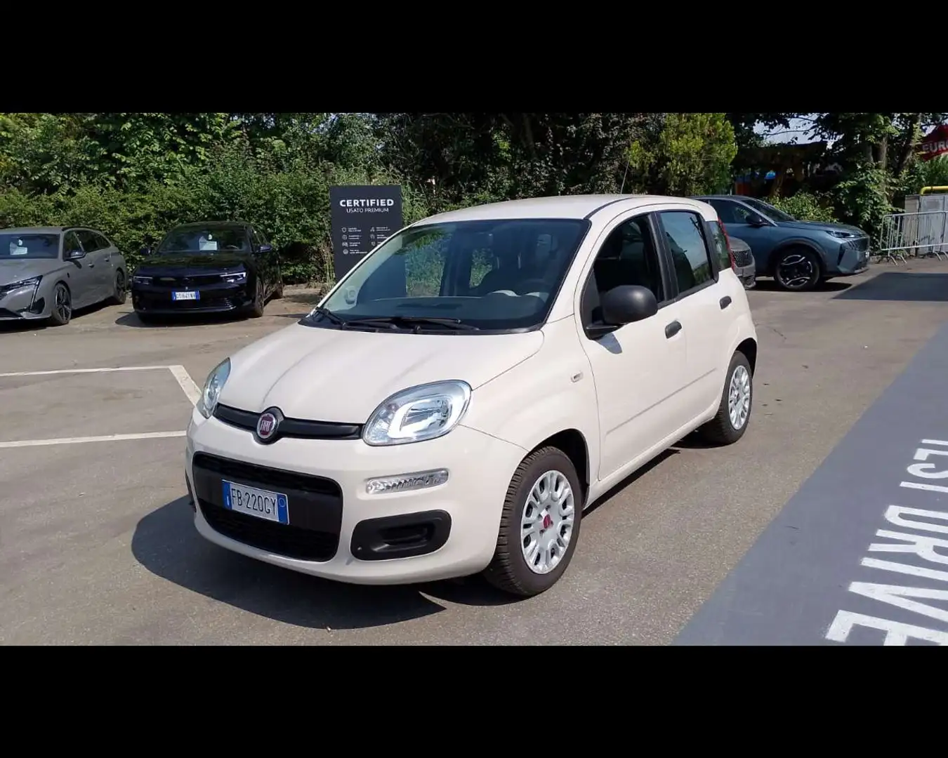 Fiat Panda 3ª serie - Panda 1.2 Easy Beige - 1