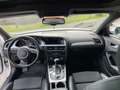 Audi A4 S-Line Bianco - thumbnail 12