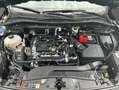 Ford Kuga 1.5 EcoBoost COOL&CONNECT Nero - thumbnail 9