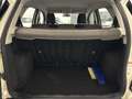 Ford EcoSport 1.0 125cv Titanium EURO 6! DISTRIBUZIONE NUOVA! Bianco - thumbnail 11