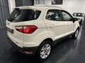 Ford EcoSport 1.0 125cv Titanium EURO 6! DISTRIBUZIONE NUOVA! Bianco - thumbnail 4