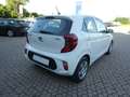 Kia Picanto 1.0 12V EcoGPL 5 porte Active OK NEOPATENTATI Weiß - thumbnail 6