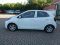 Kia Picanto 1.0 12V EcoGPL 5 porte Active OK NEOPATENTATI Weiß - thumbnail 4