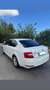 Skoda Octavia 1.6TDI CR Ambition Blanco - thumbnail 12