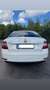 Skoda Octavia 1.6TDI CR Ambition Blanco - thumbnail 4