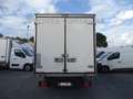 Iveco Daily 35C14 METANO CELLA ISOTERMICA 7 EUROPALLET Bianco - thumbnail 5