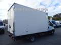 Iveco Daily 35C14 METANO CELLA ISOTERMICA 7 EUROPALLET Bianco - thumbnail 8