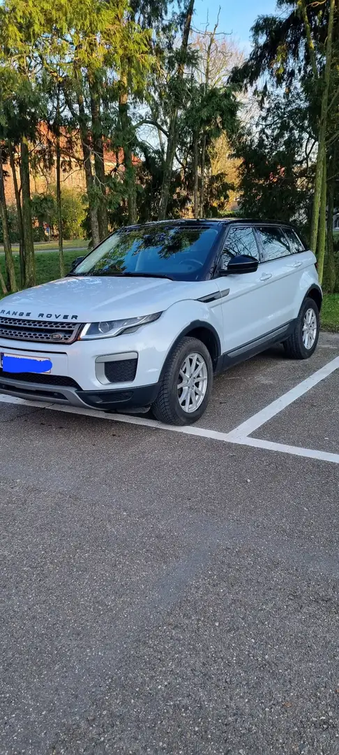 Land Rover Range Rover Evoque TD4 Pure - 2