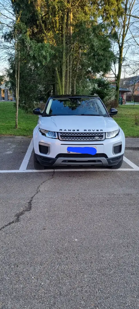 Land Rover Range Rover Evoque TD4 Pure - 1
