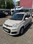 Fiat Panda - thumbnail 2