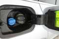 Skoda Octavia 2.0 TDI Scout 4x4 Gris - thumbnail 23
