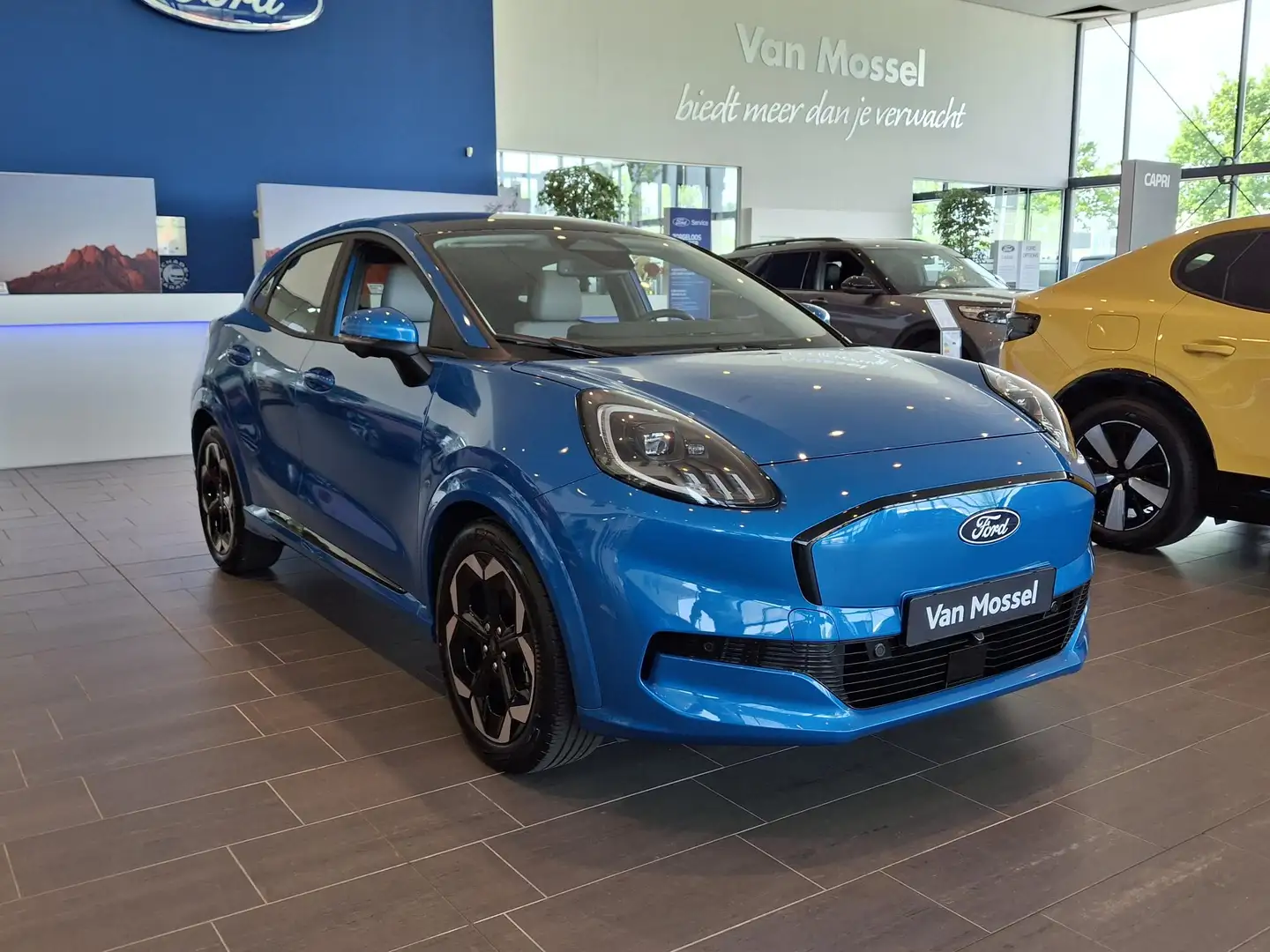 Ford Puma Gen-E Premium 44 kWh Nieuw te bestellen| Panoramad Blauw - 2