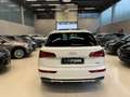 Audi Q5 Q5 50 3.0 tdi 286CV QUATTRO 3xS-LINE FULL OPTIONAL Wit - thumbnail 5