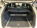Audi Q5 Q5 50 3.0 tdi 286CV QUATTRO 3xS-LINE FULL OPTIONAL Wit - thumbnail 17