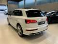 Audi Q5 Q5 50 3.0 tdi 286CV QUATTRO 3xS-LINE FULL OPTIONAL Wit - thumbnail 6