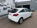 Opel Corsa Corsa 1.3 D 36x168€ /mnd Blanc - thumbnail 9