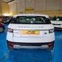 Land Rover Range Rover Evoque 2.2L TD4 Pure 4x4 Blanco - thumbnail 7